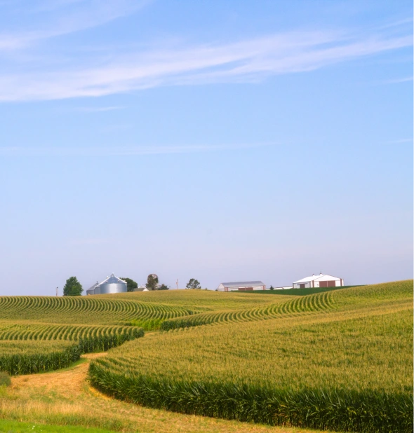 Rolling farmland and cornfields in Iowa under a wide blue sky